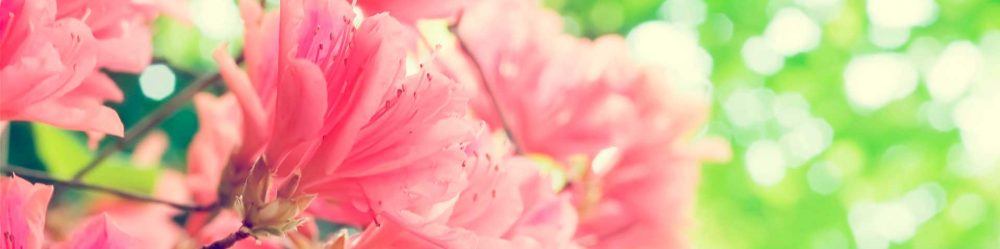 Женская красота и здоровье